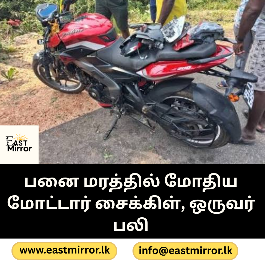 பனை மரத்தில் மோதிய மோட்டார் சைக்கிள்,ஒருவர் பலி